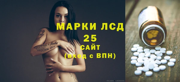 прущие грибы Костерёво
