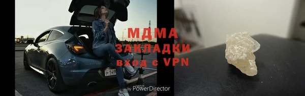прущие грибы Костерёво