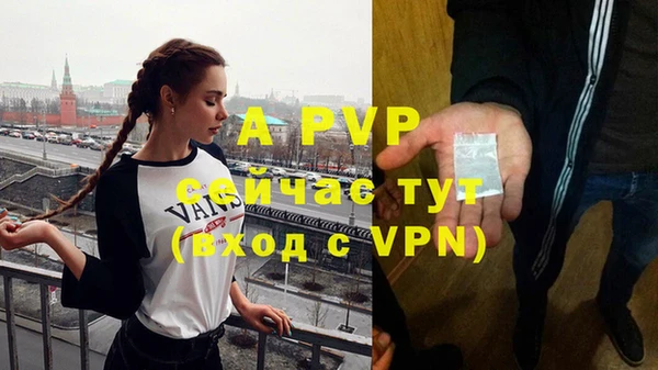 прущие грибы Костерёво
