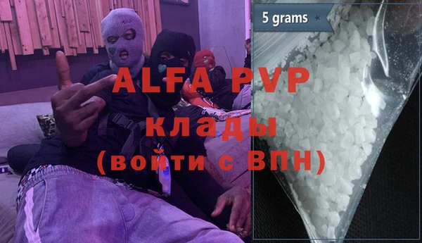 прущие грибы Костерёво