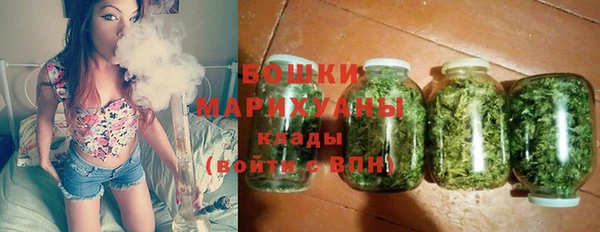 прущие грибы Костерёво